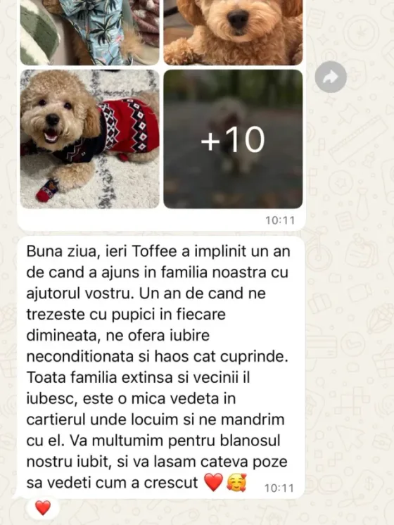 Lăsăm pozele să vorbească de la sine! ☺️