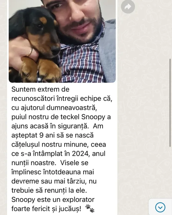 Teckel cu păr lung recenzie.