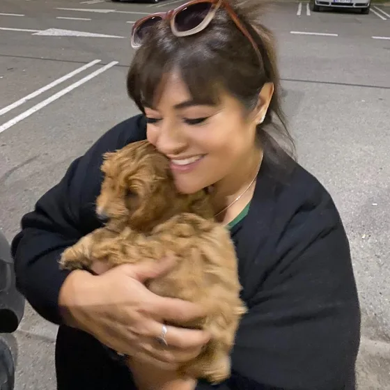 Cavapoo femelă, recenzie fără cuvinte ☺️
