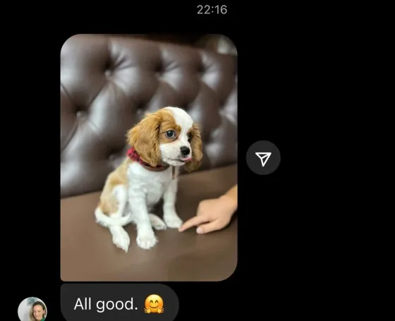 Cavalier King Charles Spaniel recenzie.