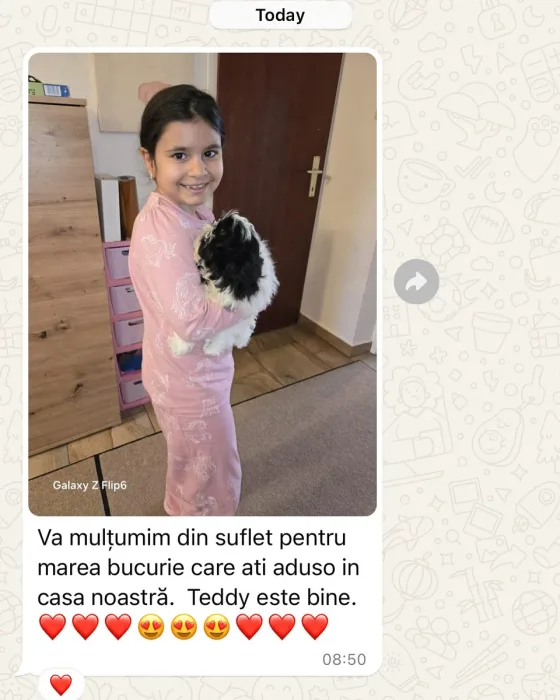 Zâmbetul unei fetițe și privirea caldă a micuțului Teddy spun totul!