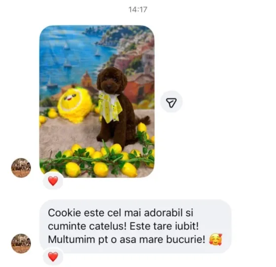 Ce bucurie să citim un astfel de mesaj! 🥹❤️