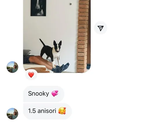💖🐾 Snooky – energia și veselia într-un singur suflet! 🐾💖