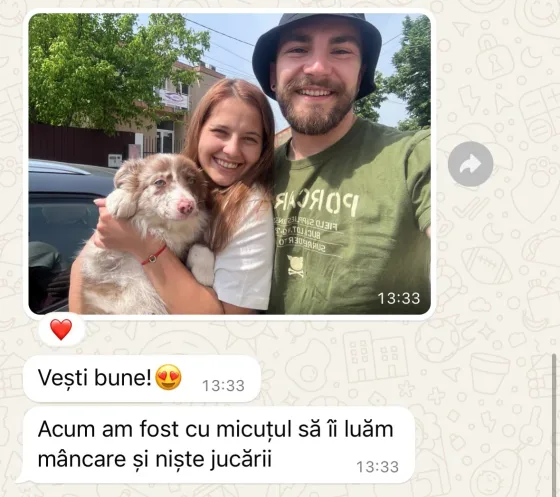 Vești minunate de la unul dintre cățeii noștri de Border Collie!