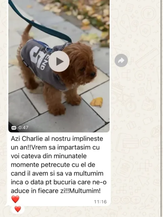 La mulți ani, Charlie! 🥳🎉